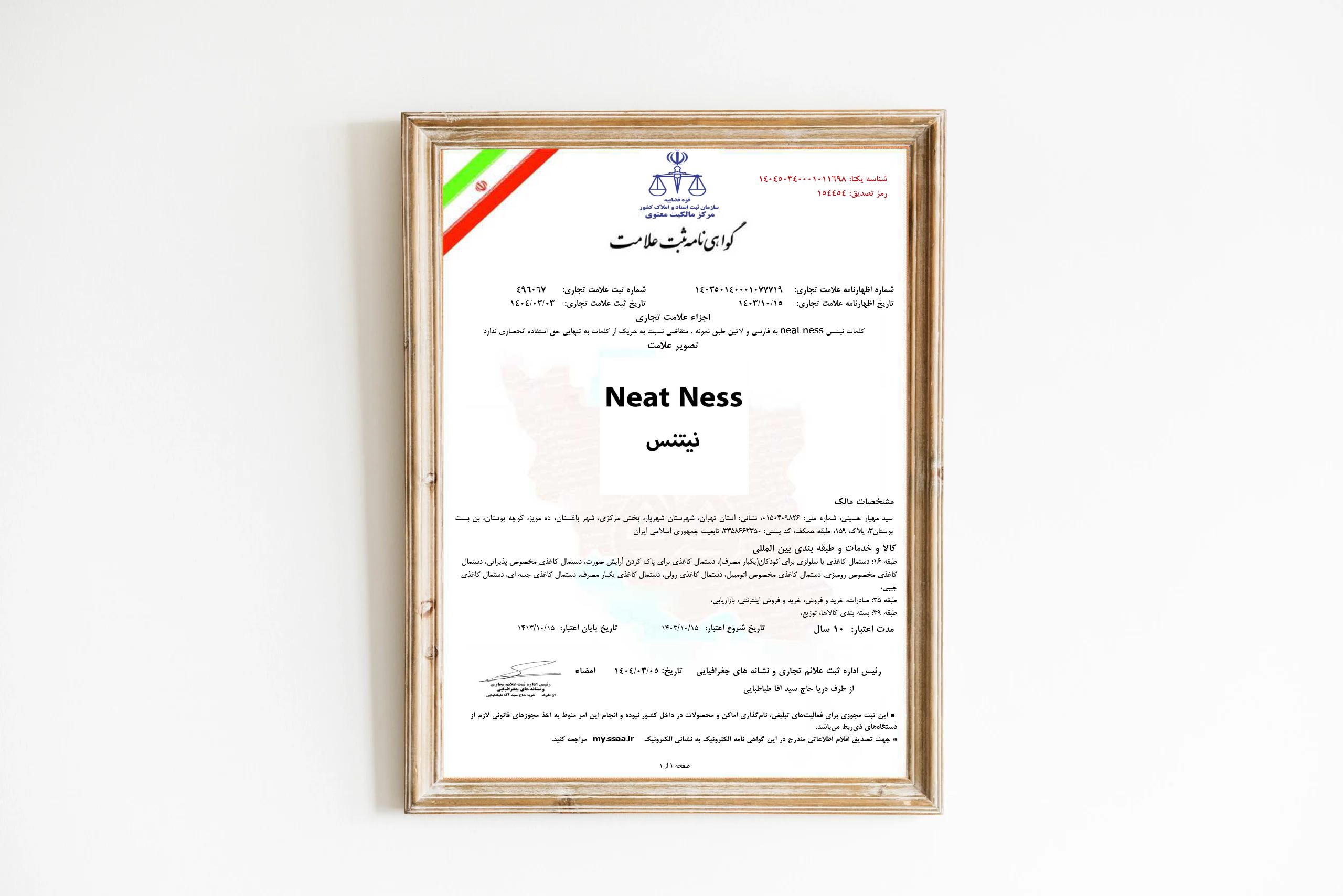 نیتنس